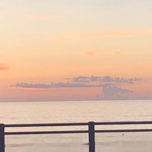 Meet your Posher, Carter